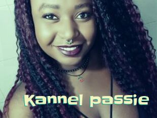Kannel_passie