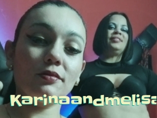 Karinaandmelisa