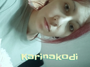 Karinakodi