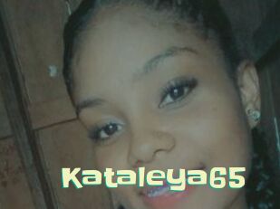 Kataleya65
