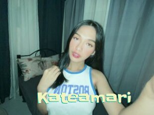 Kateamari