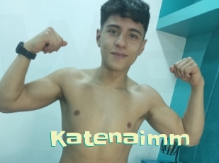 Katenaimm