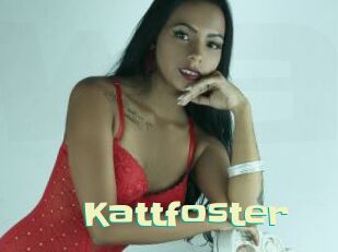 Kattfoster