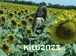 Kitti2023