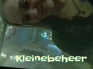 Kleinebeheer