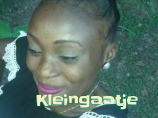 Kleingaatje
