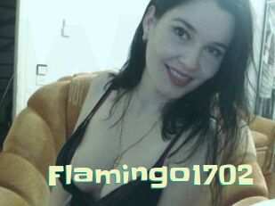 Flamingo1702