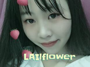 LAIlflower