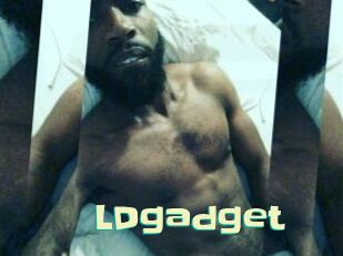 LDgadget