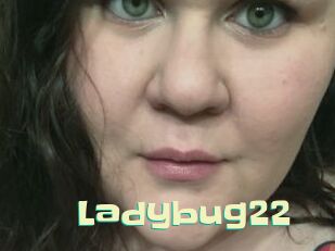 Ladybug22