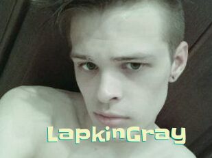 LapkinGray