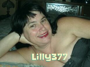 Lilly377