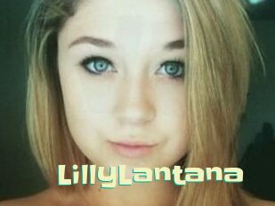 LillyLantana