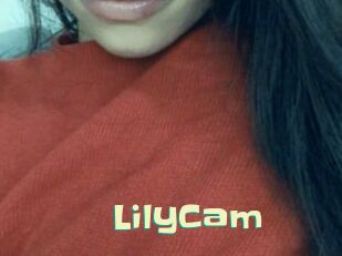LilyCam Wanna Meet