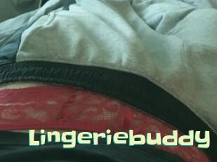 Lingeriebuddy