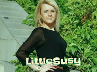 LittleSusy
