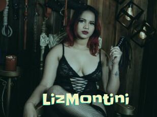 LizMontini Wanna Meet