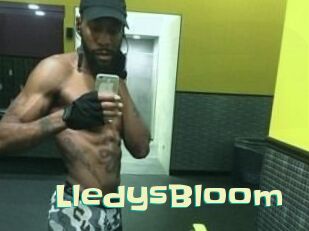 Lledys_Bloom Wanna Meet