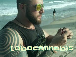 Lobocannabis