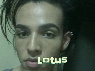 Lotus