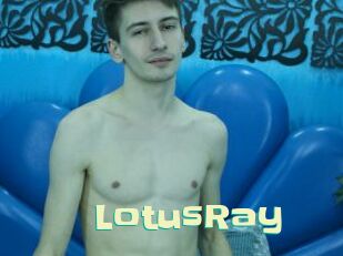 LotusRay Wanna Meet