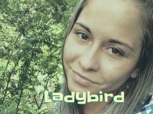 Ladybird