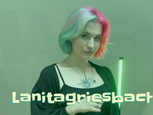 Lanitagriesbach