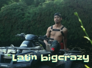 Latin_bigcrazy