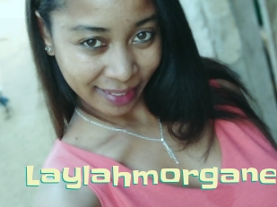Laylahmorgane