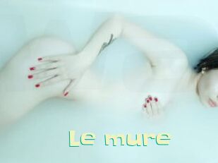 Le_mure