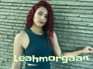 Leahmorgaan