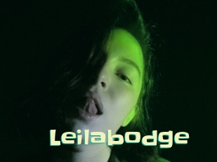 Leilabodge