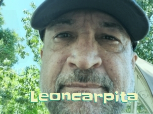 Leoncarpita