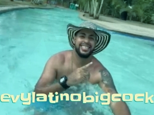 Levylatinobigcock