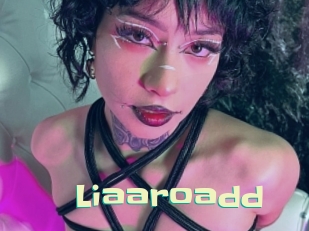Liaaroadd