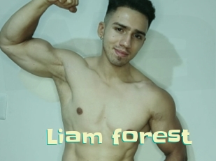 Liam_forest