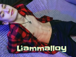 liammalloy Wanna Meet