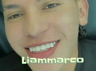 liammarco Wanna Meet