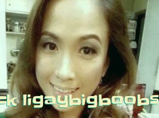 Lick_ligaybigboobs
