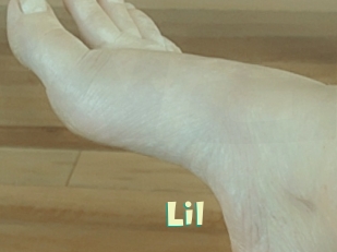Lil