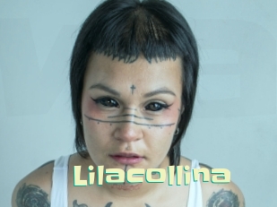 Lilacollina
