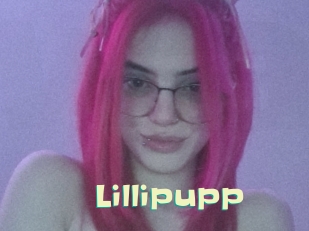 Lillipupp