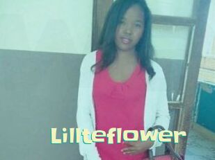 Lillteflower