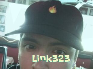 Link323