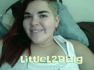 LittleL2Bbig