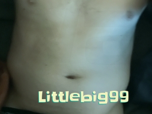 Littlebig99