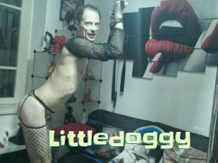 Littledoggy