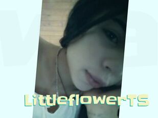 LittleflowerTS