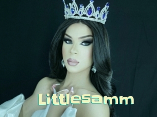 Littlesamm