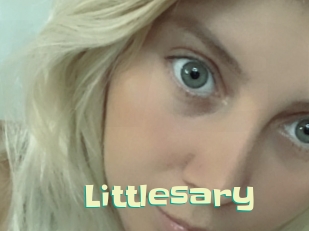 littlesary Wanna Meet